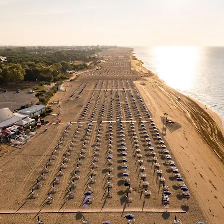 Relax Vibes Near The *