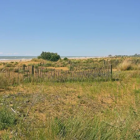 Relax Vibes Near The