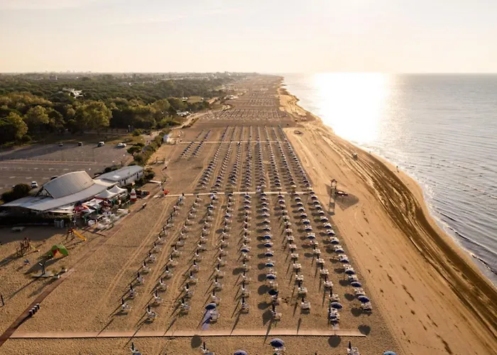 Relax Vibes Near The *